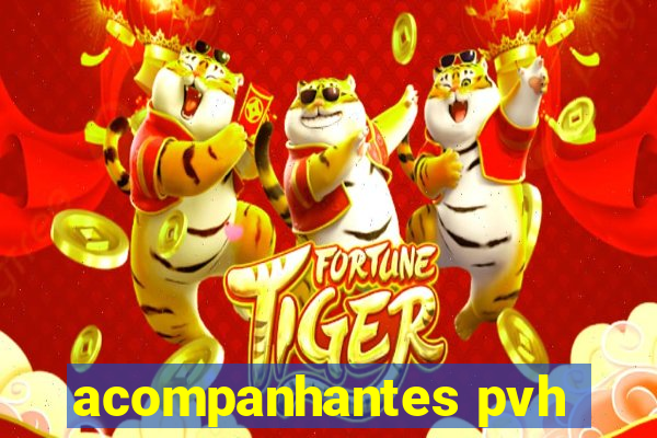 acompanhantes pvh